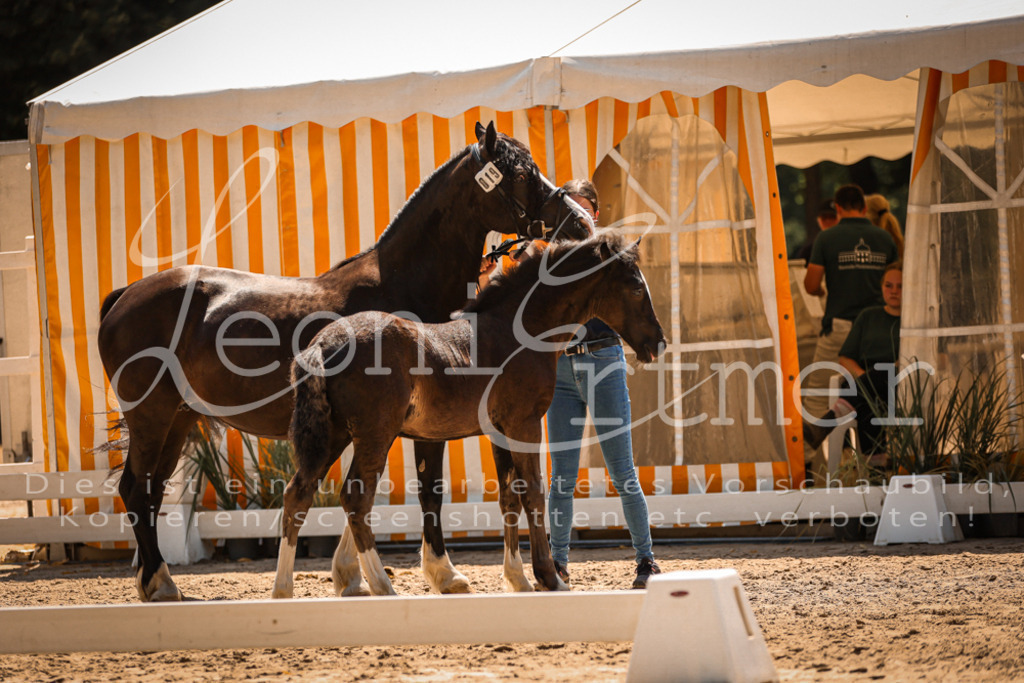 04.DoWP00076 | Leoni Ertmer Photography - Realisiert mit Pictrs.com