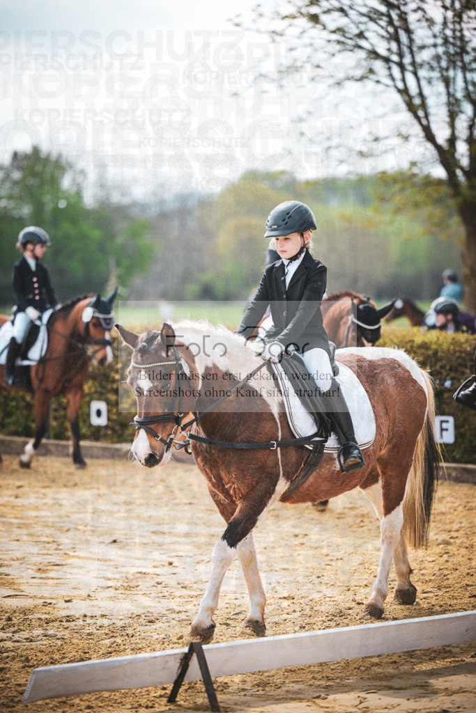 DOS_5525 | Entdecke hochwertige Reitturnierfotos von Foto Oger. Professionell, emotional und authentisch – jetzt Lieblingsmomente im Shop bestellen.Deutschlandweite Turnierfotografie. - Realisiert mit Pictrs.com
