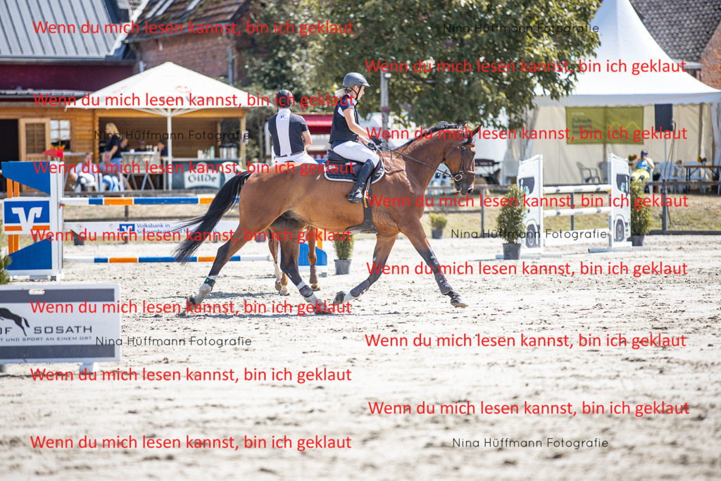 BK1A6383 | Turnierbilder Turnierfotos Nina Hüffmann Turnierfotografie Pferdefotografie Tierzeichnung Haustierzeichnung Pferdezeichnung Hundezeichnung Videograf  - Realisiert mit Pictrs.com