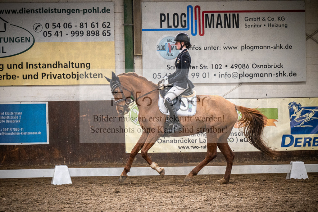 DOS_2594 | Entdecke hochwertige Reitturnierfotos von Foto Oger. Professionell, emotional und authentisch – jetzt Lieblingsmomente im Shop bestellen.Deutschlandweite Turnierfotografie. - Realized with Pictrs.com