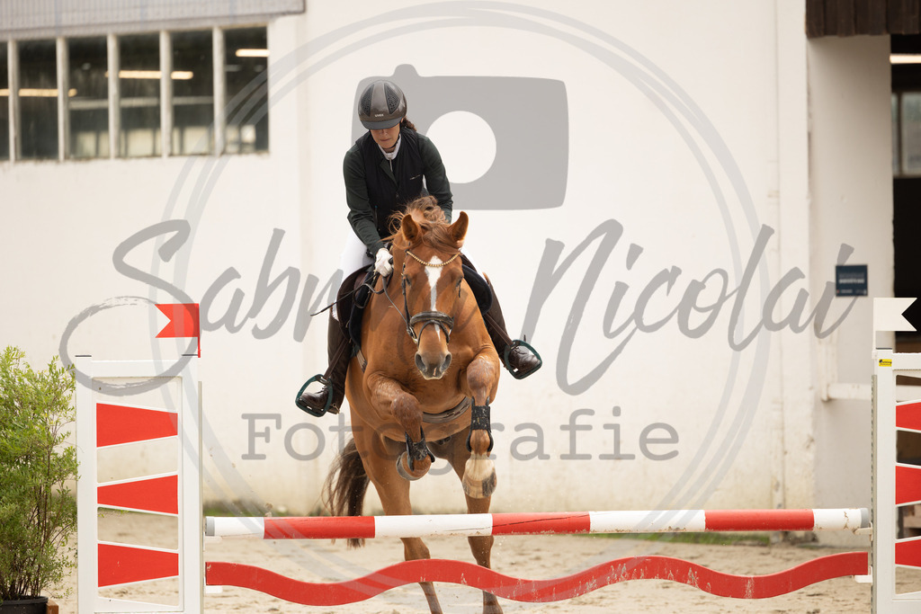 994A0010 | sabrinanicolaifotografie - Realisiert mit Pictrs.com