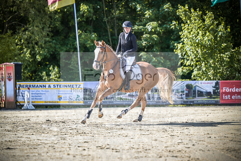 DOS_7546 | Entdecke hochwertige Reitturnierfotos von Foto Oger. Professionell, emotional und authentisch – jetzt Lieblingsmomente im Shop bestellen.Deutschlandweite Turnierfotografie. - Realisiert mit Pictrs.com