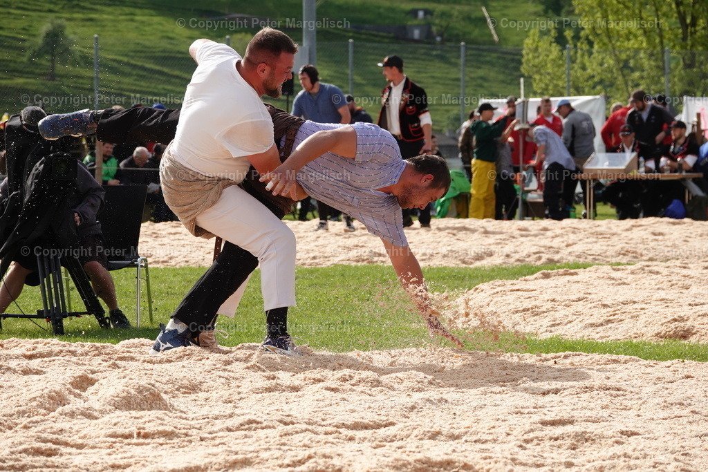 DSC00656 | Schwingen - Realisiert mit Pictrs.com
