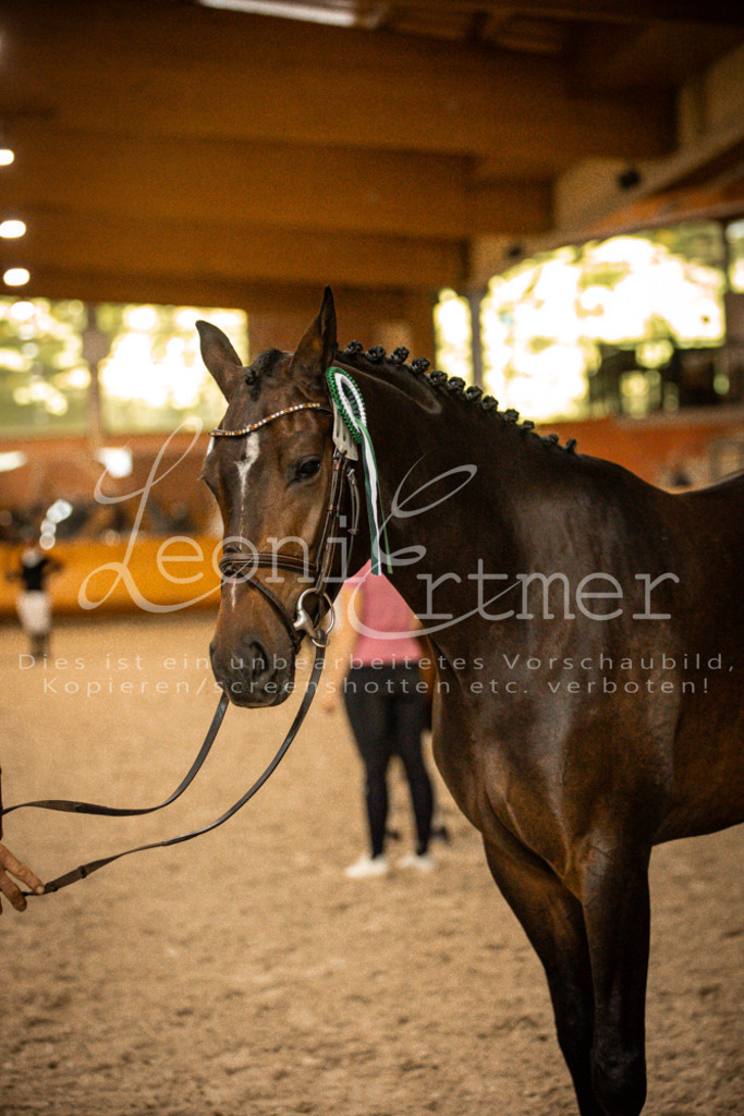 2Schritt00017 | Leoni Ertmer Photography - Realisiert mit Pictrs.com