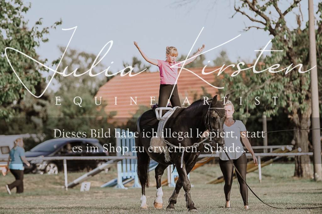 DSC_9848 | Pferde- und Turnierfotografie in Westsachsen. Pferdeportraits, Auftragszeichnungen und intuitive Kunst.