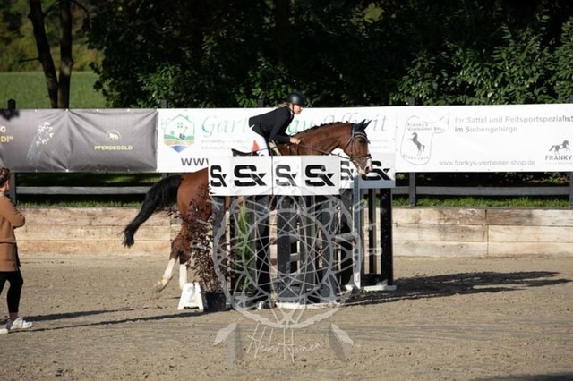 2B4A3937 | pixelfaenger - Realisiert mit Pictrs.com