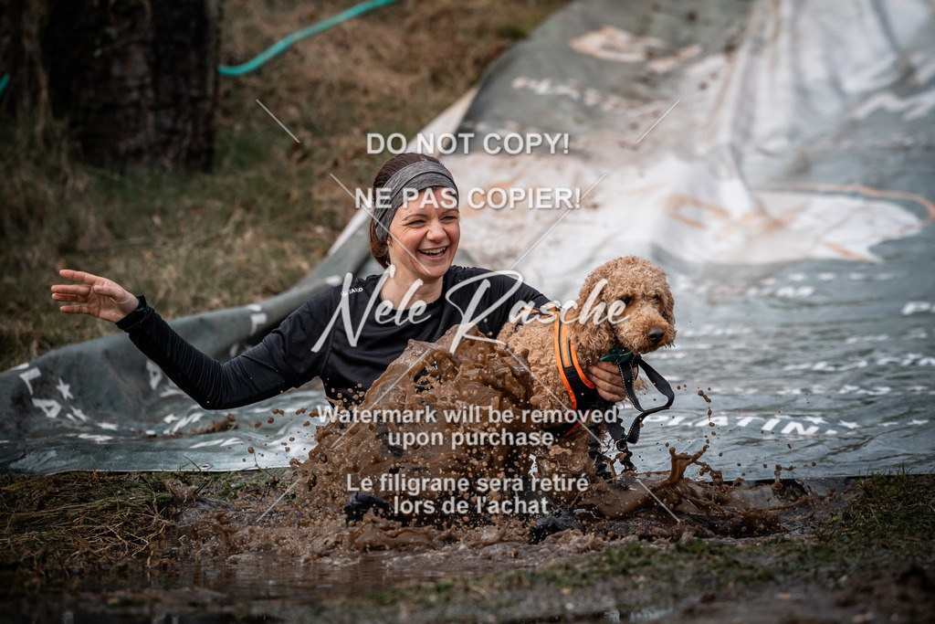 nelerasche_1330-1400_310 | nelerasche
