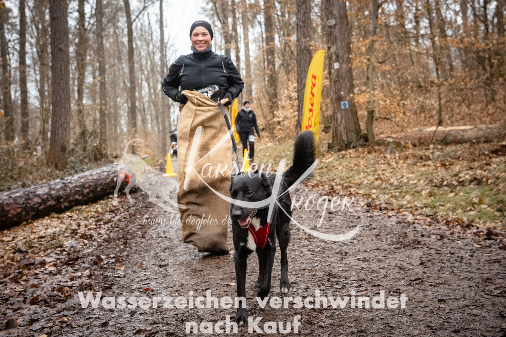 1154_ZZ92786 | kk-dogfotos