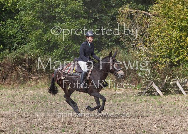 09-23 Jagd Perdöl_MCH9795_Marina Hewig | Fotografie, FotoArt, PferdesportArt, Pferdesportfotografie, Landschaftsfotografie, Reisefotografie, Reise, Pferde - Realisiert mit Pictrs.com