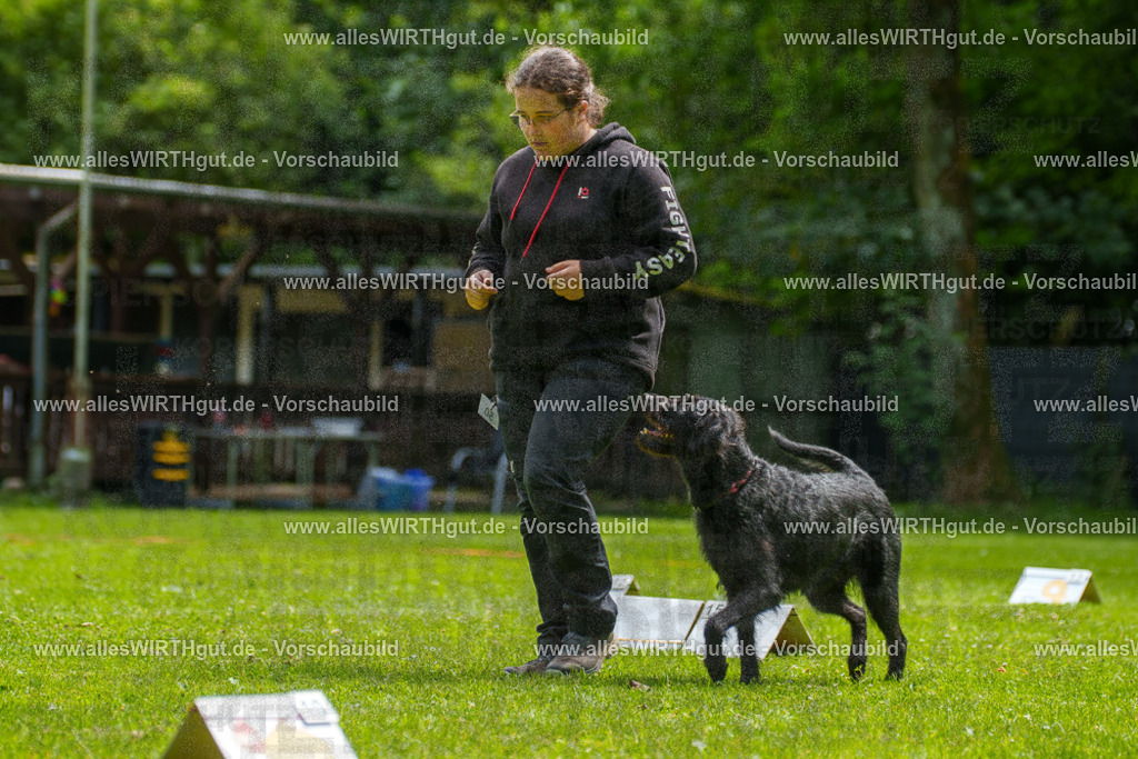 @allesWIRTHgut_Tierfotografie - www.allesWIRTHgut.de - 7R500757 | Professionelle Tierfotografie in Mönchengladbach von Daniel Wirth (allesWIRTHgut). Liebevolle & natürliche Bilder von Hunden & Katzen für unvergessliche Erinnerungen.
