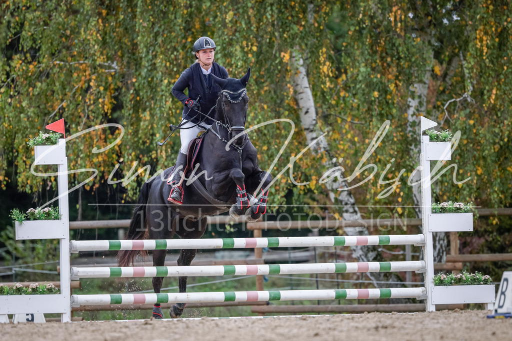 20251012-_3LI4025 | Tierfotografie Pferde, Hunde, Katzen, Haustiere.
Turnierfotografie Reitturniere, Reiten, Springreiten, Dressur in Hanau, dem Main-Kinzig-Kreis und dem Rhein-Main- Gebiet um Frankfurt