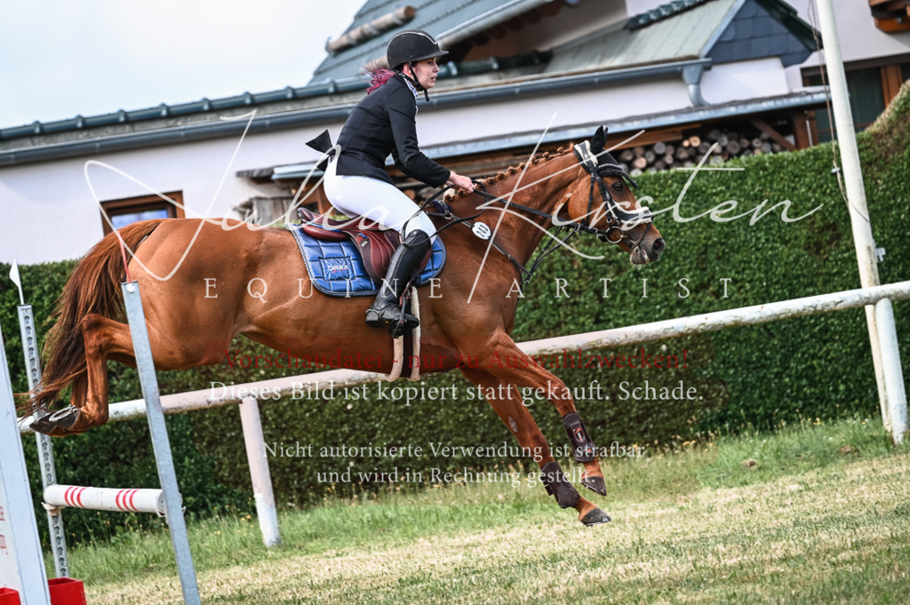 DSC_7838 | Pferde- und Turnierfotografie in Westsachsen. Pferdeportraits, Auftragszeichnungen und intuitive Kunst.