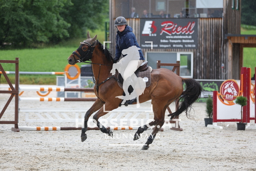 0P6A1365 | Willkommen bei Brunnmayr - Design & Fotografie – Ihrem Spezialisten für Reitturniere und Pferdeveranstaltungen in Oberösterreich, Salzburg und Bayern! Seit über 17 Jahren sind wir leidenschaftlich dabei.