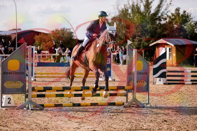 2026_10_03_Siefer-Hof_160620_Z81_87862852 | Professionelle Reitsport-, Turnier- und Eventfotografie von Robert Broda. Galerien mit ausgewählten und bearbeiteten Bildern direkt online ansehen und bestellen.