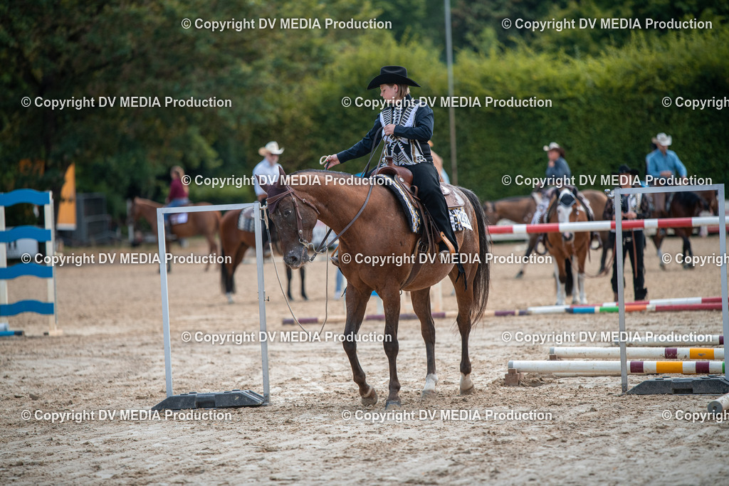 ZS3_9149 | dv-media-shop - Realisiert mit Pictrs.com