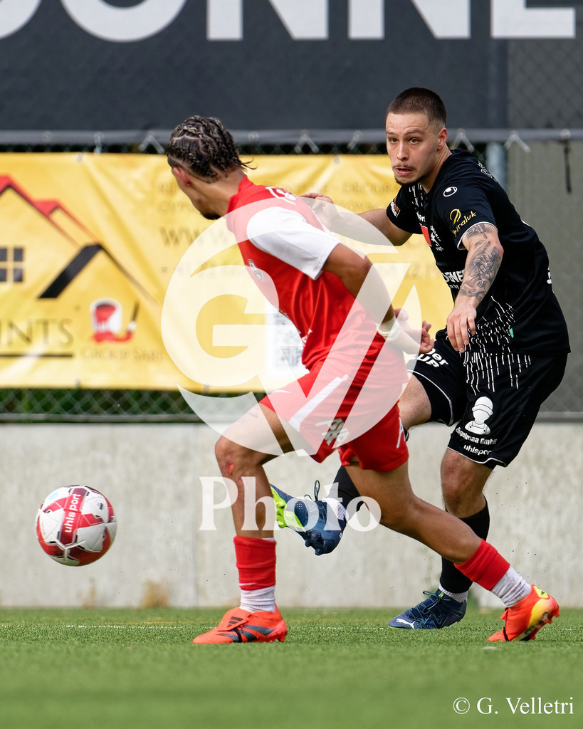 DSC_7833 | Velletri Photo