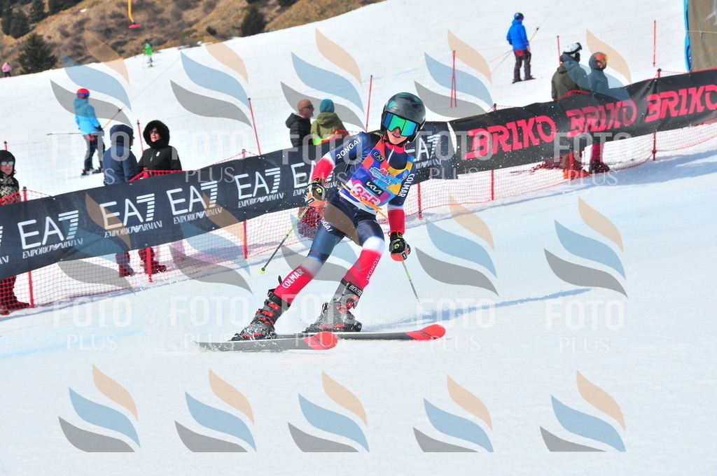 DSC_6995 | holidayphoto