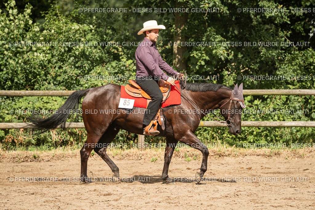 DSC03500 | Pferdegrafie