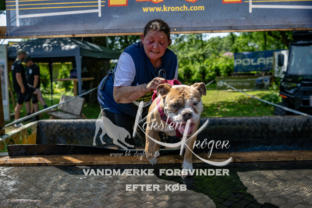 1300_ZZ90477 | kk-dogfotos