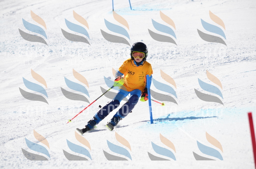 C8562 | holidayphoto