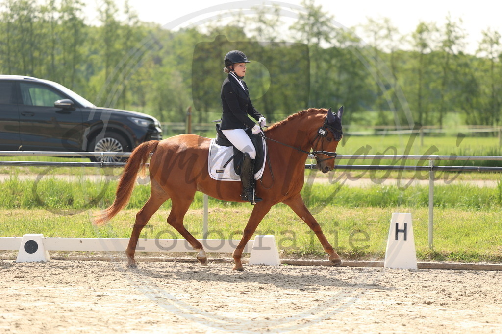 994A6729 | sabrinanicolaifotografie - Realisiert mit Pictrs.com