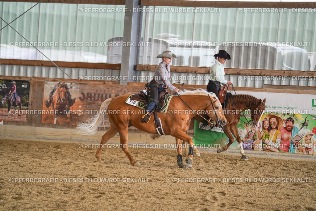 DSC07672 | Pferdegrafie