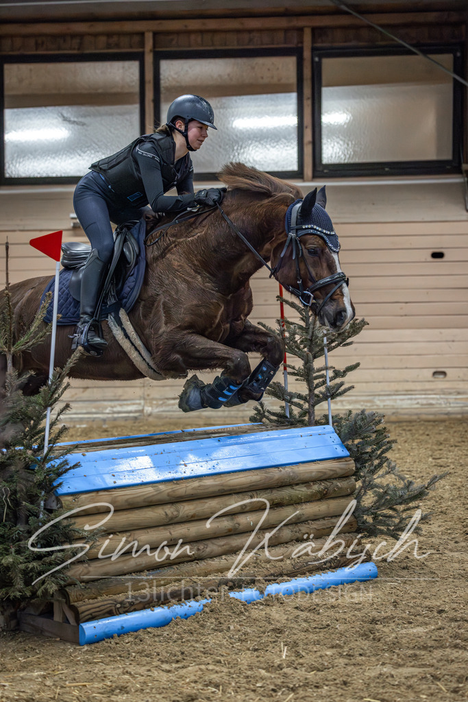 20260222-_3LI1211 | Tierfotografie Pferde, Hunde, Katzen, Haustiere.
Turnierfotografie Reitturniere, Reiten, Springreiten, Dressur in Hanau, dem Main-Kinzig-Kreis und dem Rhein-Main- Gebiet um Frankfurt