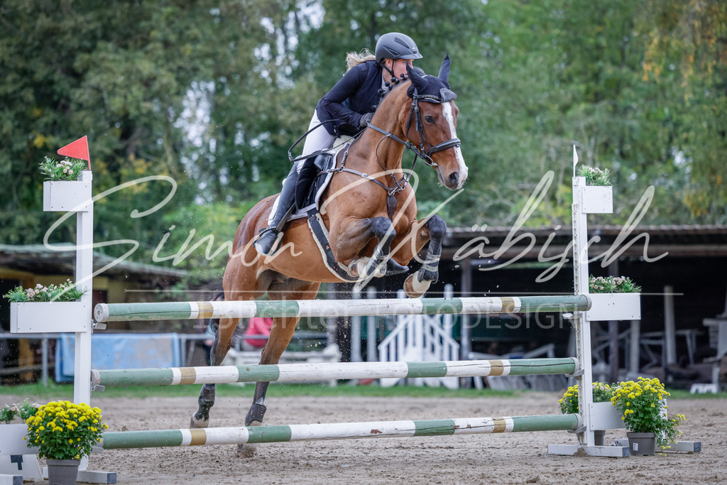 20251012-_3LI4994 | Tierfotografie Pferde, Hunde, Katzen, Haustiere.
Turnierfotografie Reitturniere, Reiten, Springreiten, Dressur in Hanau, dem Main-Kinzig-Kreis und dem Rhein-Main- Gebiet um Frankfurt