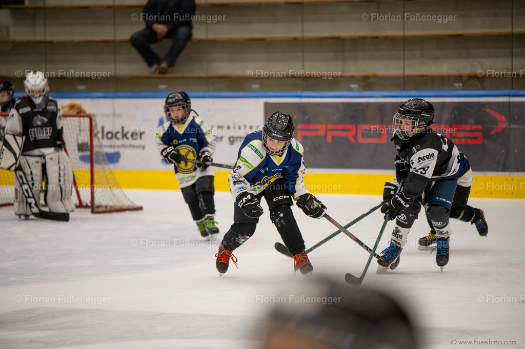 DSC_3926 | "Fussifoto.com – Ihr Ansprechpartner für hochwertige Fotografie! Entdecken Sie kreative Bilder und professionelle Dienstleistungen. Kontaktieren Sie uns für Ihre Projekte!"