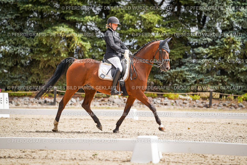 DSC03325 | Pferdegrafie