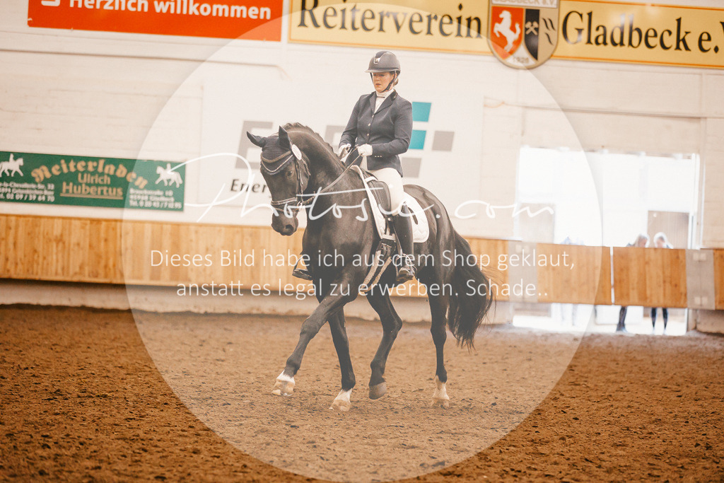 3I6A1789 | Stimmungsvolle Portraits und Reitsportfotografie im Ruhrgebiet und im Münsterland.

Pferdefotografie, Hundefotografie, Tierfotografie, Reportagen, Portraits von Tier und Mensch, Turnierfotografie in Bochum, Recklinghausen, Marl, Haltern am See, Dülmen.. - Realisiert mit Pictrs.com
