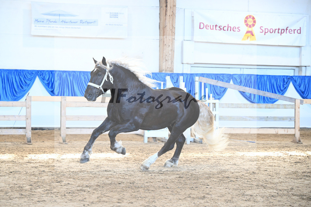 Kat-Nr. 5 Solar v. Schmauzenberg_Schuster_8260272 | hf-fotografie - Realizzato con Pictrs.com