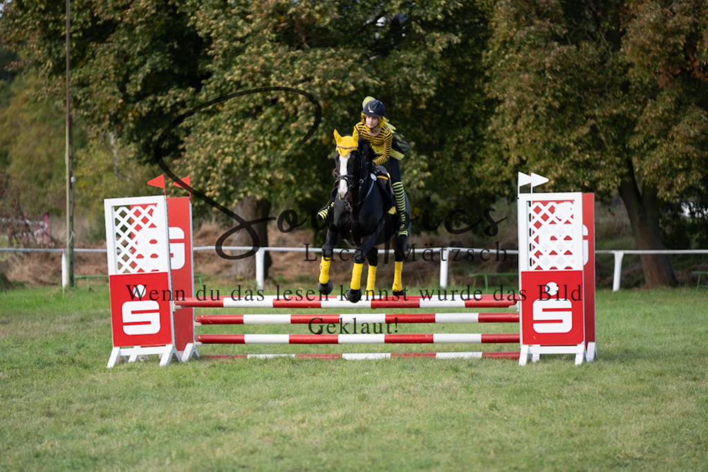 A7V06517 | Pferdefotograf