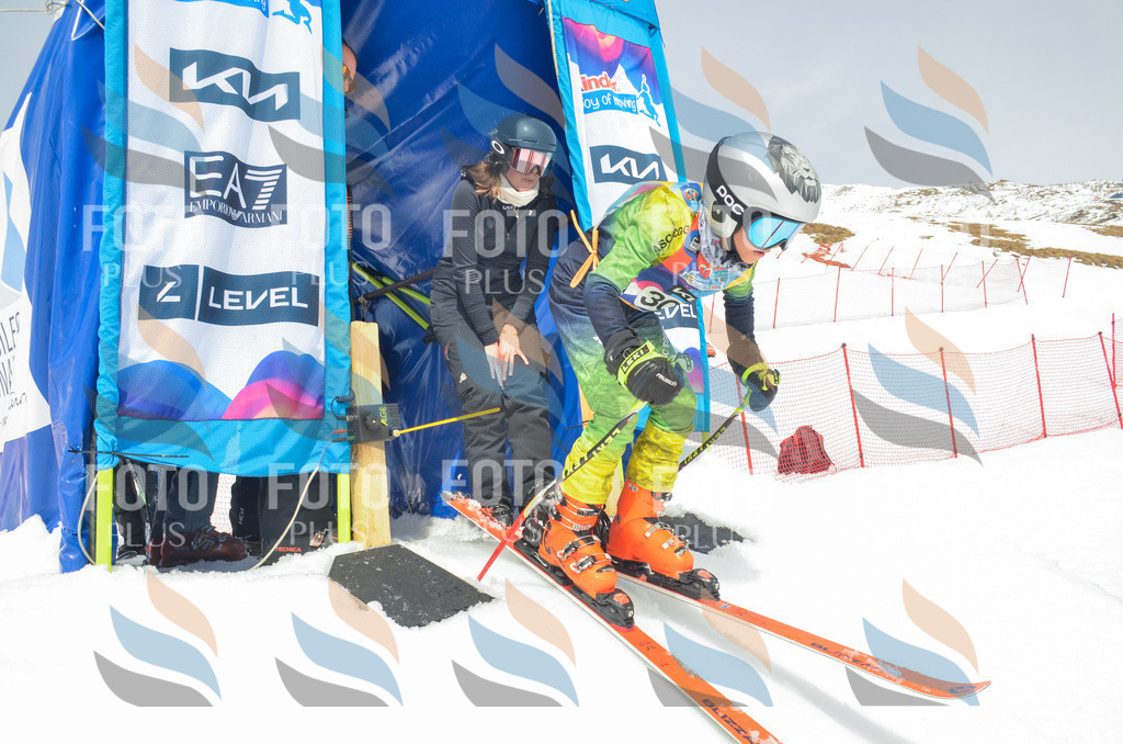 _ELE8358 | holidayphoto