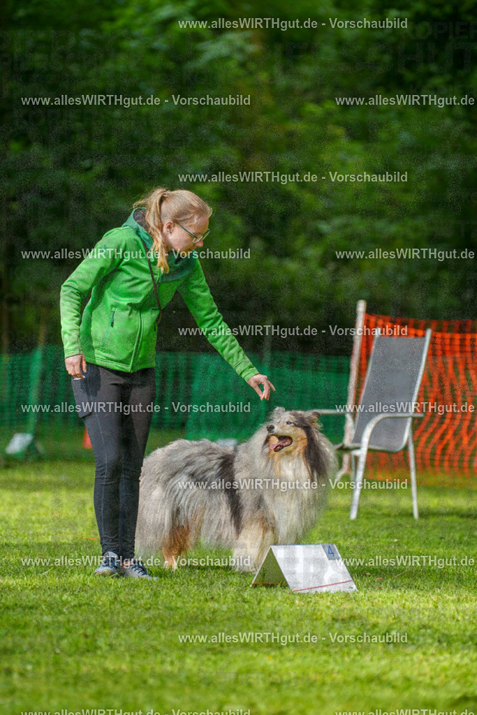 @allesWIRTHgut_Tierfotografie - www.allesWIRTHgut.de - 7R502116 | Professionelle Tierfotografie in Mönchengladbach von Daniel Wirth (allesWIRTHgut). Liebevolle & natürliche Bilder von Hunden & Katzen für unvergessliche Erinnerungen.