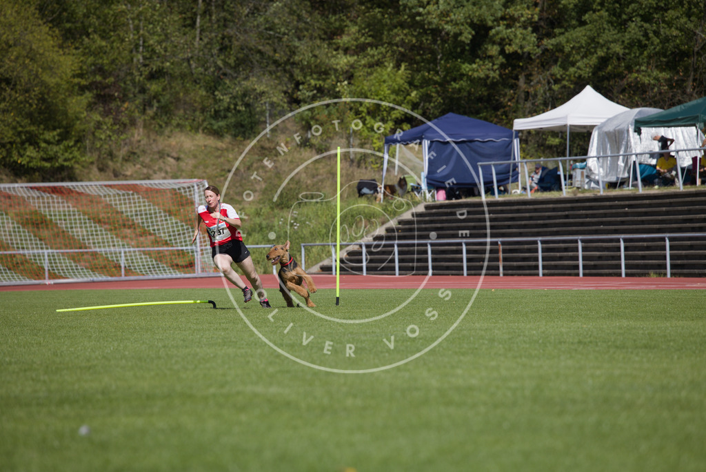 0L8A7118 | Hundefotografie, Tierfotograf, Pfotenfotografie, Fotoshooting Hund, Hunde Portrait, Hundesport, Hundeportraits, Heideshooting, Hunde, Sportfotograf, Hundefotograf, Turnierhundsport, THS,  - Realisiert mit Pictrs.com