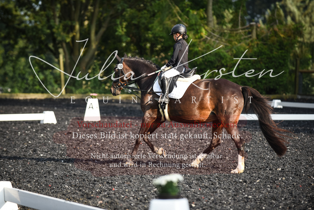 DSC_3522 | Pferde- und Turnierfotografie in Westsachsen. Pferdeportraits, Auftragszeichnungen und intuitive Kunst.