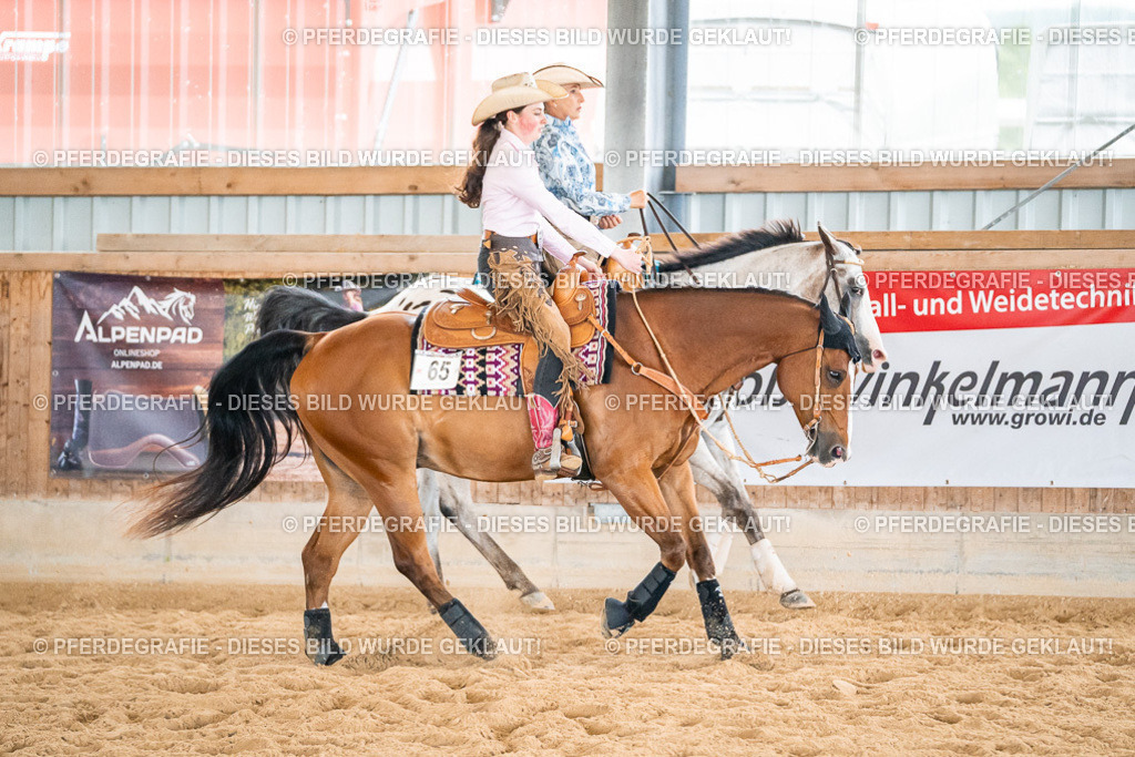 DSC00772 | Pferdegrafie