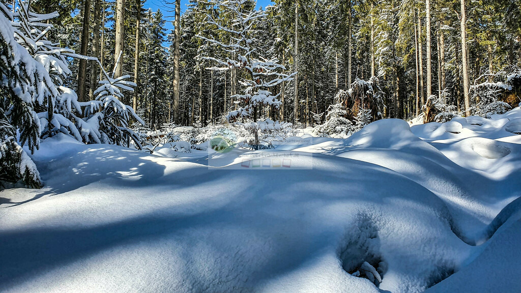 Platte Winter | Impressionen rund um Hochfranken - Frankenwald - Fichtelgebirge - Realisiert mit Pictrs.com