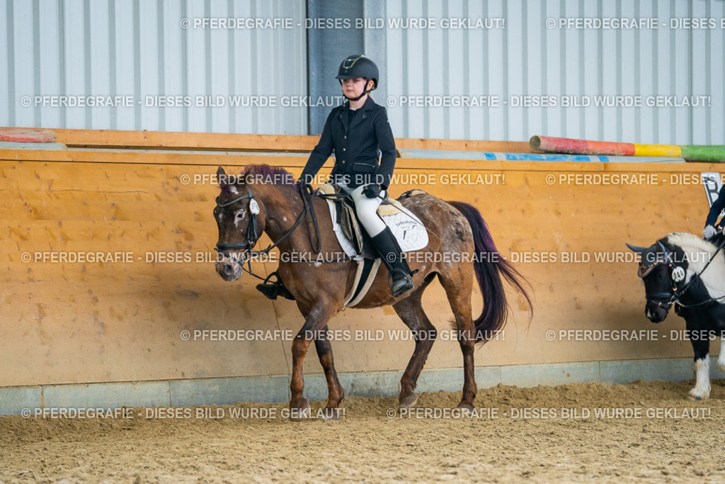 DSC01415 | Pferdegrafie