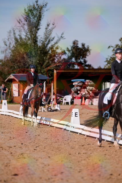 2026_10_03_Siefer-Hof_115505_Z81_95301672 | Professionelle Reitsport-, Turnier- und Eventfotografie von Robert Broda. Galerien mit ausgewählten und bearbeiteten Bildern direkt online ansehen und bestellen.