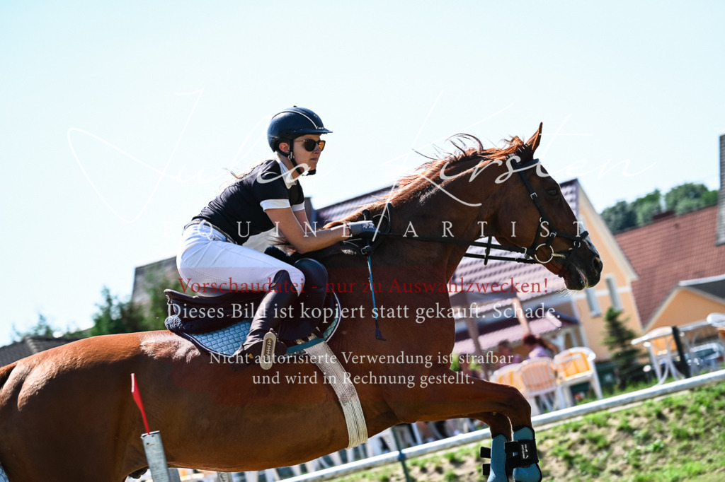 DSC_1261 | Pferde- und Turnierfotografie in Westsachsen. Pferdeportraits, Auftragszeichnungen und intuitive Kunst.