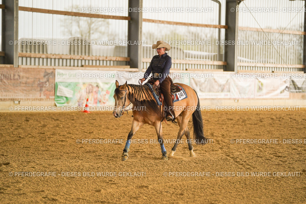 DSC09541 | Pferdegrafie