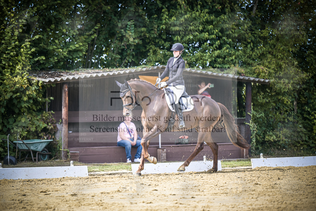 DOS_6693 | Entdecke hochwertige Reitturnierfotos von Foto Oger. Professionell, emotional und authentisch – jetzt Lieblingsmomente im Shop bestellen. - Realisiert mit Pictrs.com