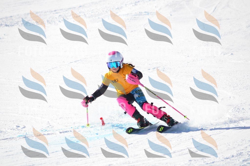 C6105 | holidayphoto