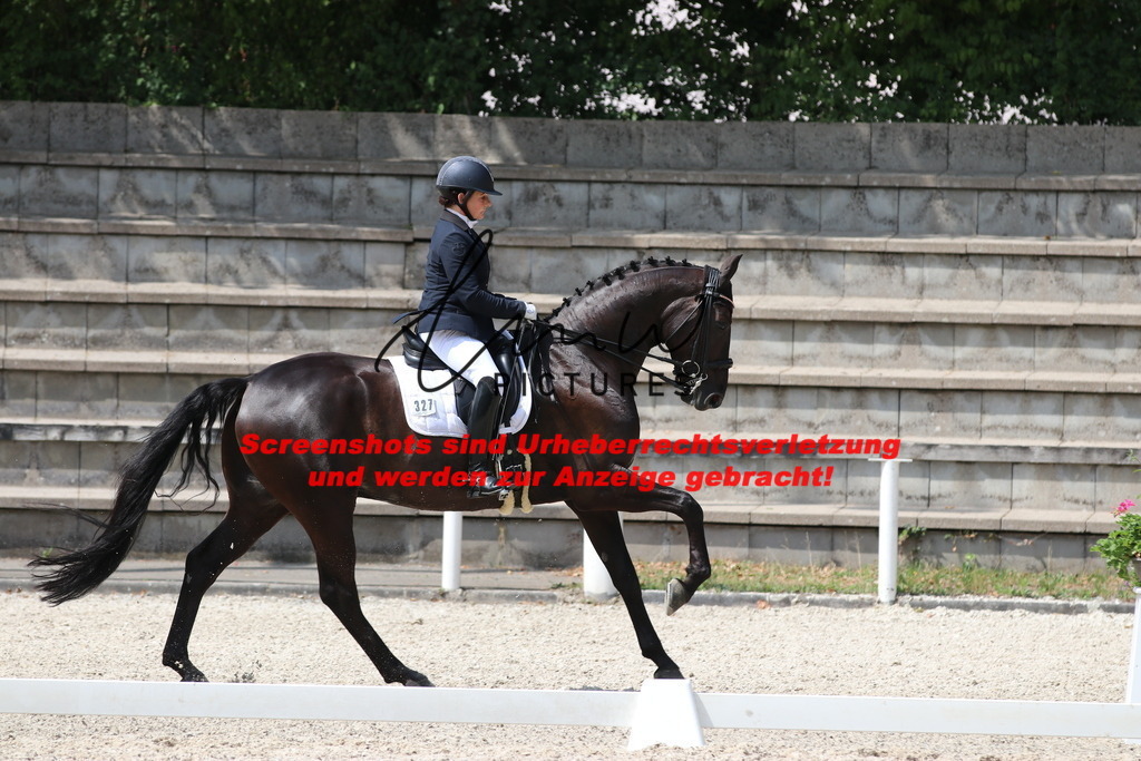 IMG_7247 | lmwpictures - Realisiert mit Pictrs.com