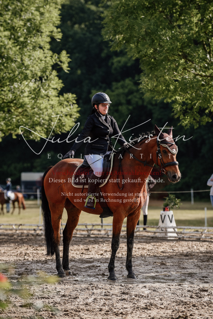 DSC_8536 | Pferde- und Turnierfotografie in Westsachsen. Pferdeportraits, Auftragszeichnungen und intuitive Kunst.