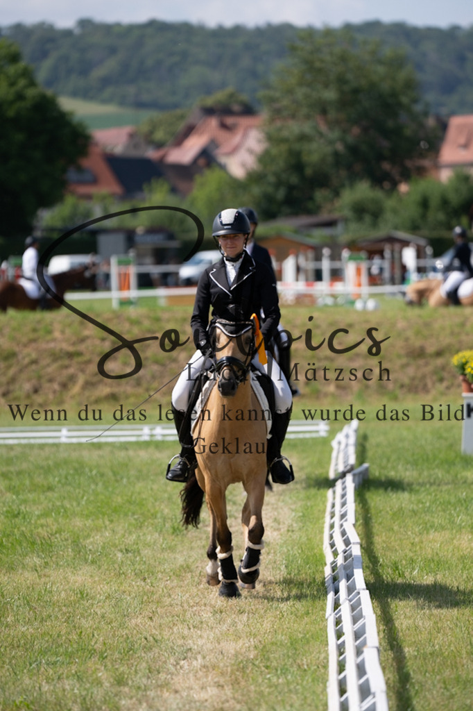 A7V09736 | Pferdefotograf