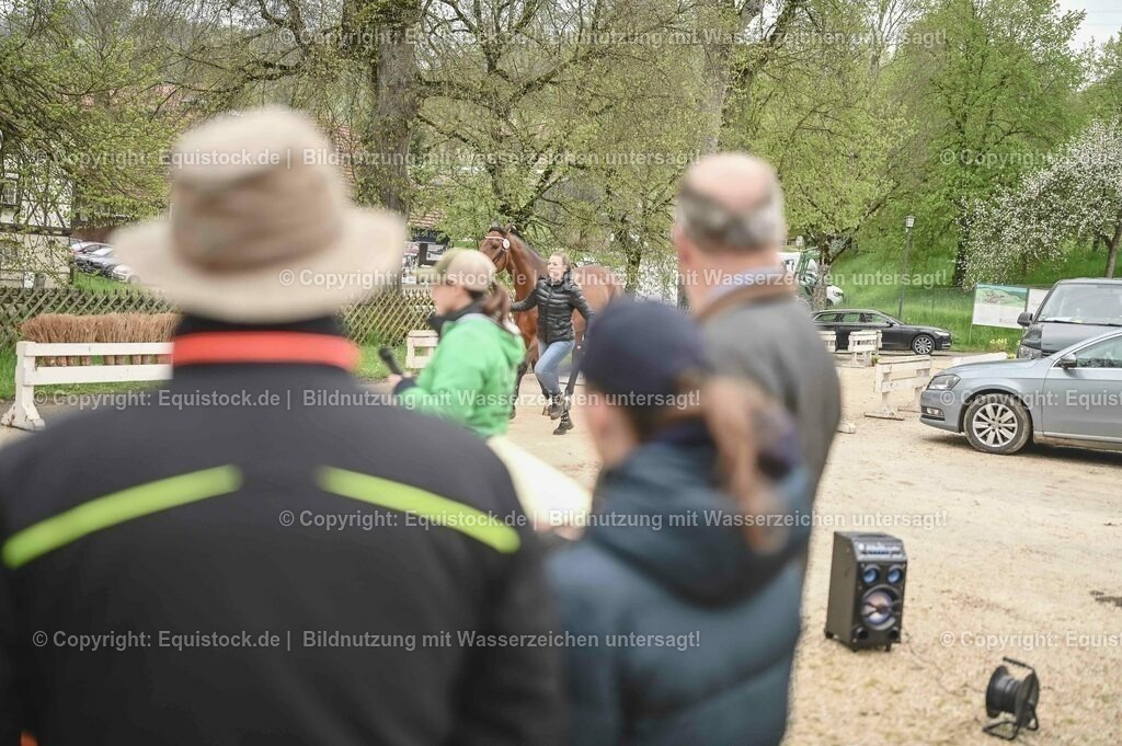 20230514_Impressionen_0124 | equistock
