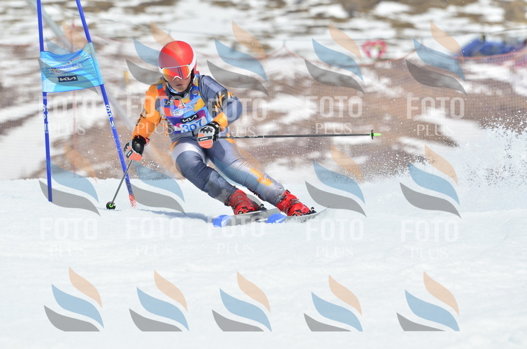 _ELE2276 | holidayphoto